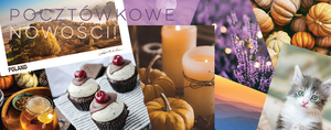 Nowości jesień 2024 pl