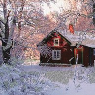 Domek w śniegu