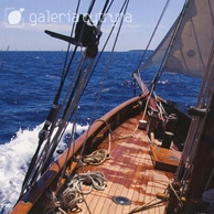 Galeria Cytryna - Jacht