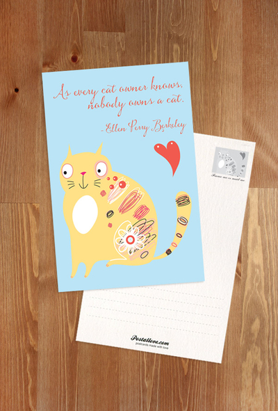 Kocie cytaty - „As every cat owner knows, nobody owns a cat