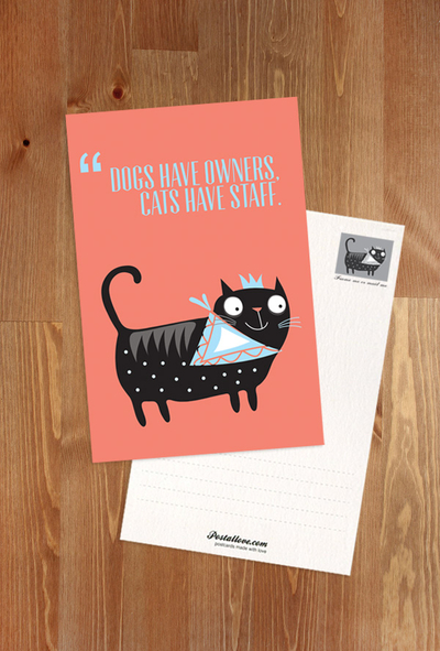Kocie cytaty - „Dogs have owners, cats have staff