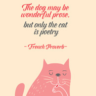 Kocie cytaty - The dog may be wonderful prose, but only the cat is poetry