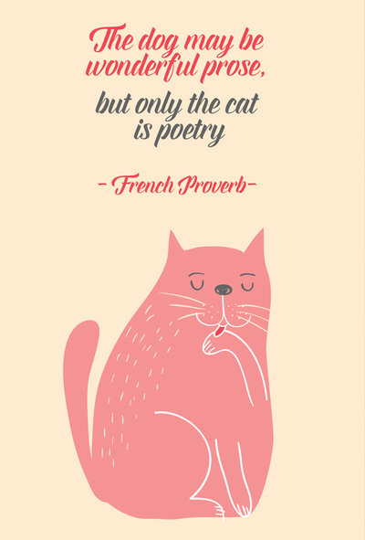 Kocie cytaty - The dog may be wonderful prose, but only the cat is poetry