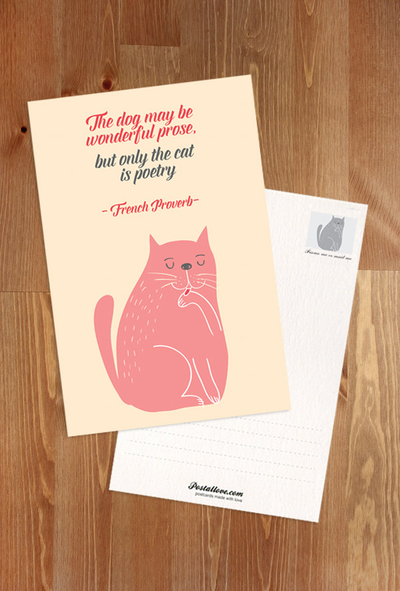 Kocie cytaty - The dog may be wonderful prose, but only the cat is poetry