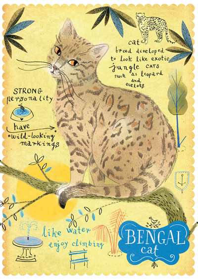Kot bengalski