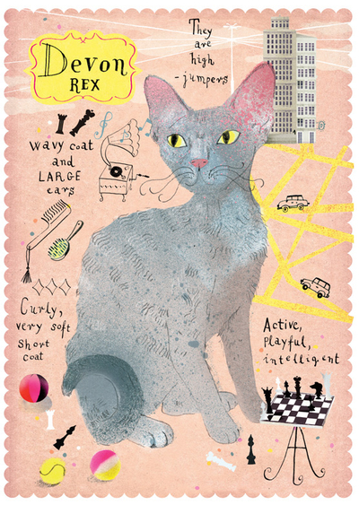 Kot devon rex