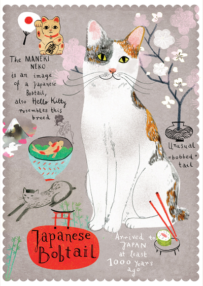 Kot japoński 