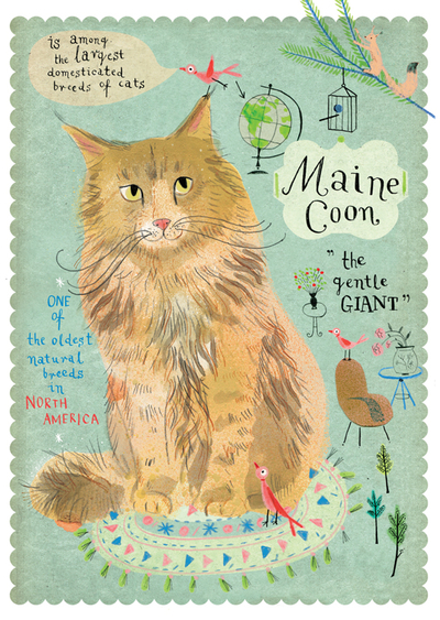 Kot Maine Coon