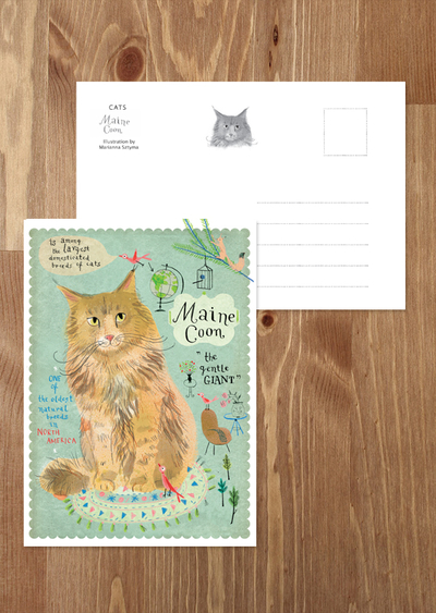 Kot Maine Coon