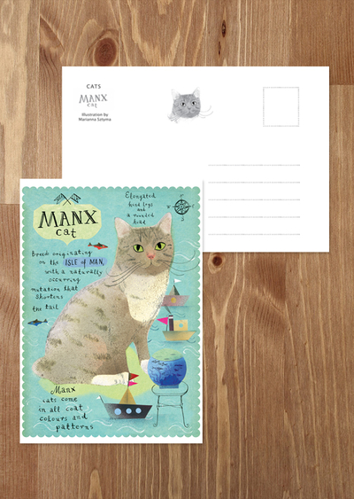 Kot manx 