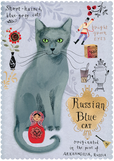 Kot rosyjski niebieski