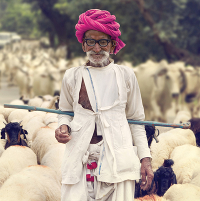 Indyjski pasterz