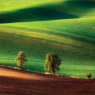 Rodzina