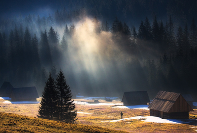 Tatry, Polana Chochołowska