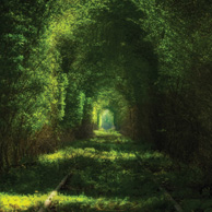 Tunel miłości