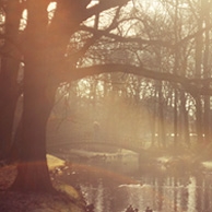 Agata Dobrzańska - Park o zachodzie słońca