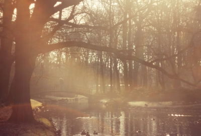 Agata Dobrzańska - Park o zachodzie słońca