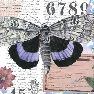 Marika Wieczorek - Fioletowy motyl