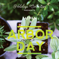 Mr Lemon - Arbor Day