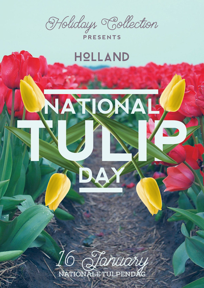 Mr Lemon - National Tulip Day