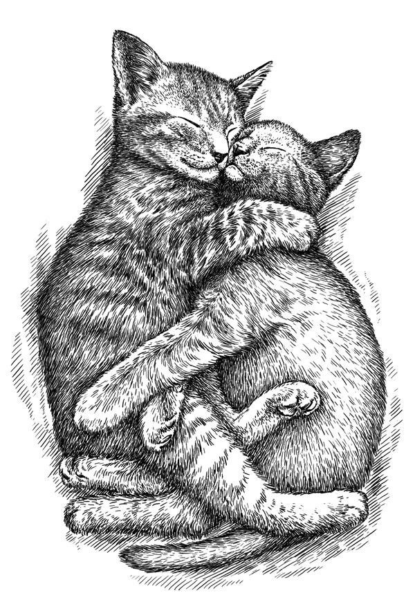 Рисованные картинки кошки обнимаются