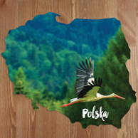 Mapka - Lecący bocian