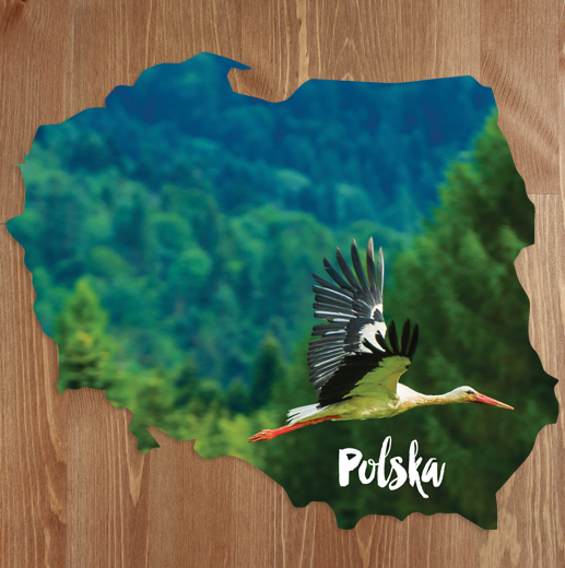 Mapka Lecacy Bocian Pocztowki W Ksztalcie Polski Pocztowki