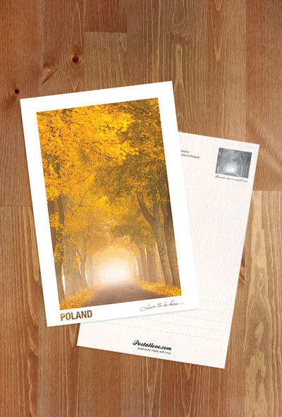 Poland - Love to be here... - Jesień na Kaszubach