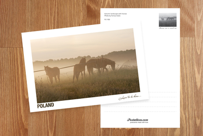 Poland - Love to be here... - Jesienny pejzaż z końmi