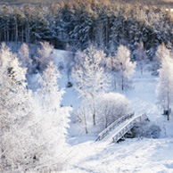 Poland - Love to be here... - Mazury zimą