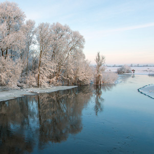 Poland - Love to be here... - Narew zimą