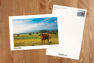 Poland - Love to be here... - Pejzaż z krówką, Pieniny