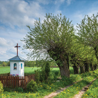 Poland - Love to be here... - Pejzaż z wierzbami, Mazowsze