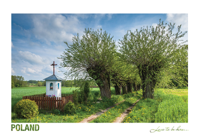 Poland - Love to be here... - Pejzaż z wierzbami, Mazowsze