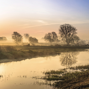 Poland - Love to be here... - Poranek nad rzeką