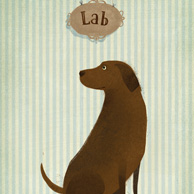 Labrador