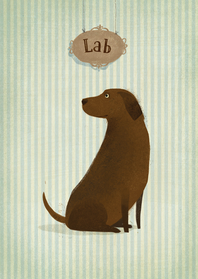 Labrador