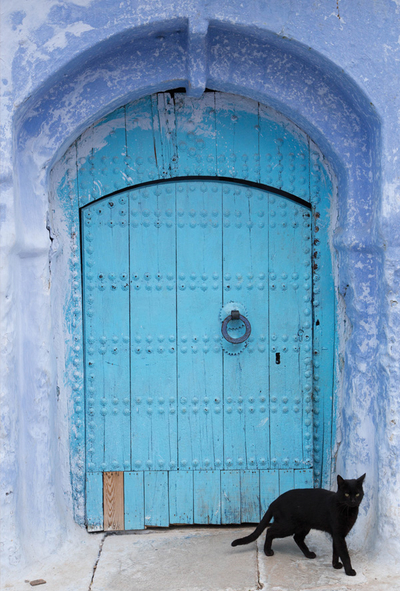 Błękitne drzwi i czarny kot