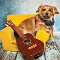 Piesek z gitarą