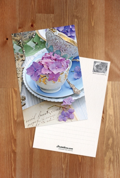 Hortensje i porcelana