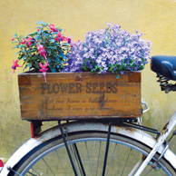 Rower & kwiaty