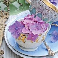 Hortensje i porcelana