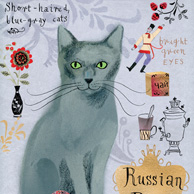 Kot rosyjski niebieski
