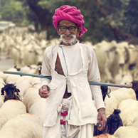 Indyjski pasterz