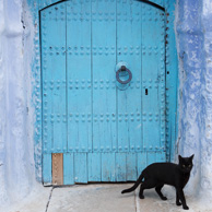 Błękitne drzwi i czarny kot